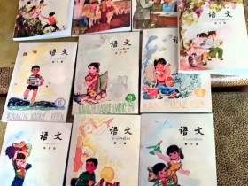 逝去的青春,纠结的80后